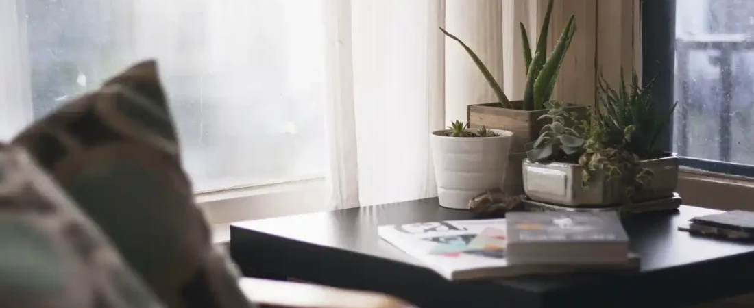 Clean Home Aesthetics: Creating a Serene and Inviting Space