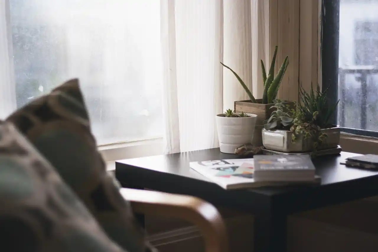 Clean Home Aesthetics: Creating a Serene and Inviting Space